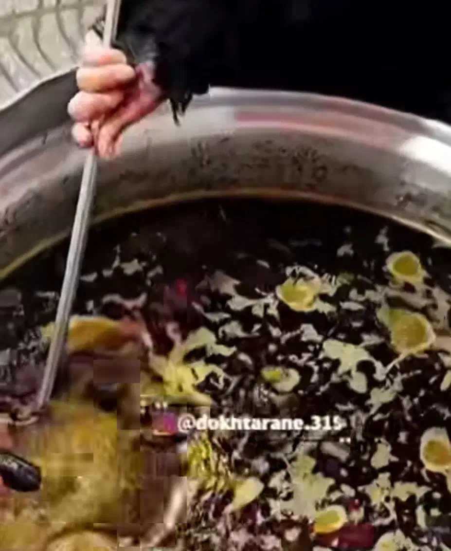 غذای خانگی و پخش مواد غذایی|خوردنی و آشامیدنی|قرچک, شهرک طلائیه|دیوار