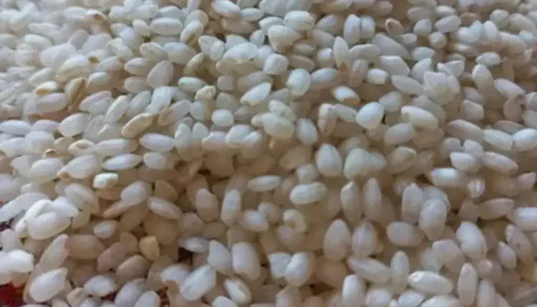 برنج گردی|خوردنی و آشامیدنی|مریوان, |دیوار