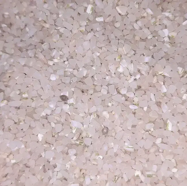 نیم دانه کامفیروزی امسالی|خوردنی و آشامیدنی|نی‌ریز, |دیوار