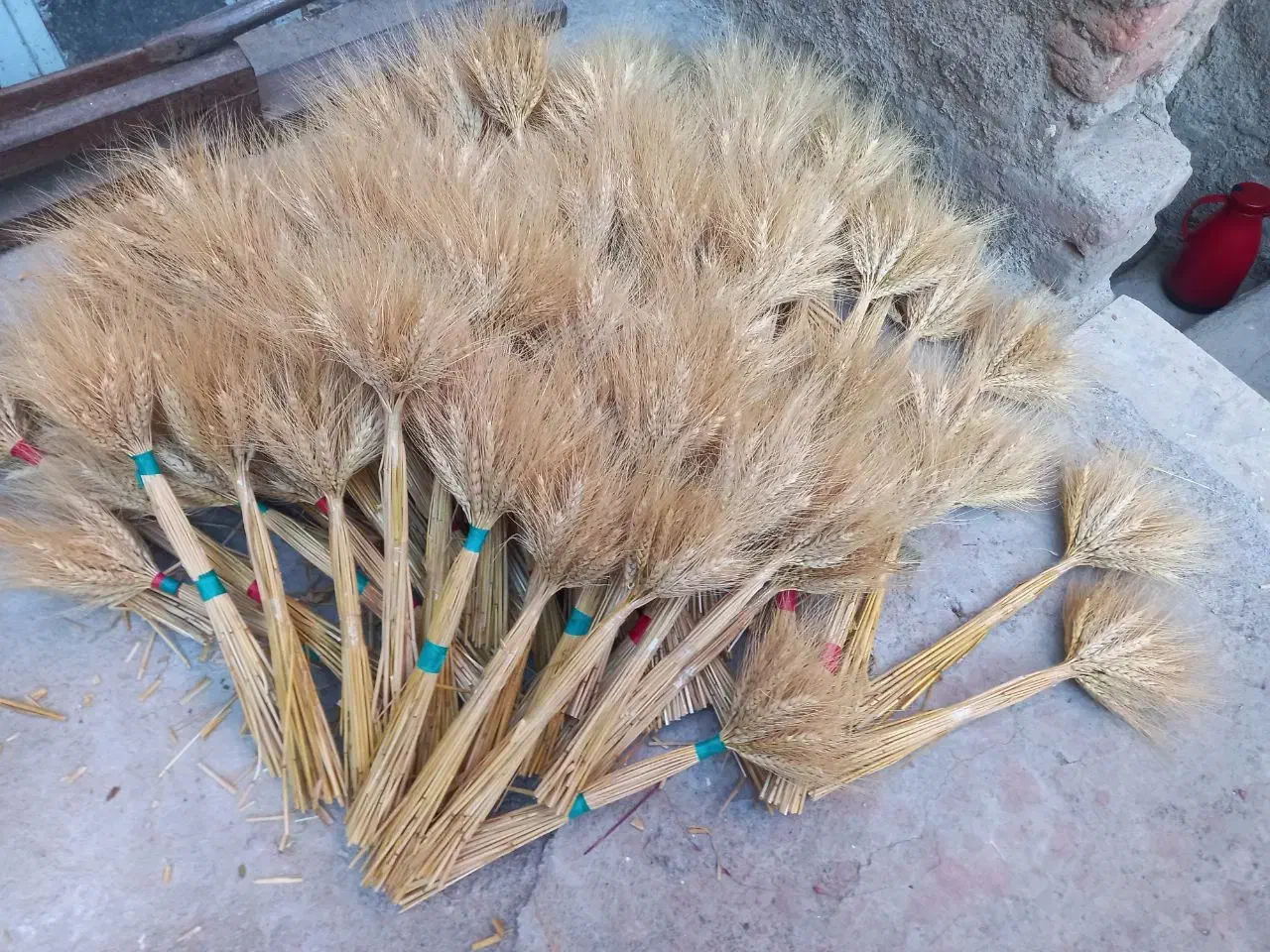 گل گندم|گل و گیاه طبیعی|رشت, چله خانه|دیوار