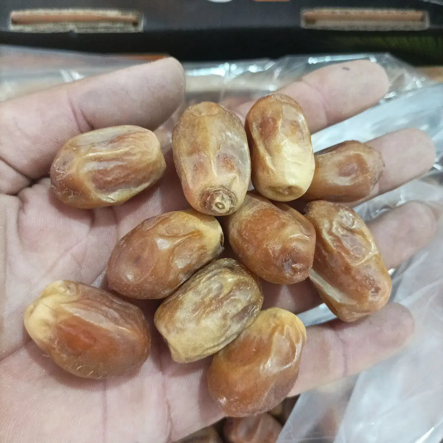 خرمایزاهدی|خوردنی و آشامیدنی|بوشکان, |دیوار