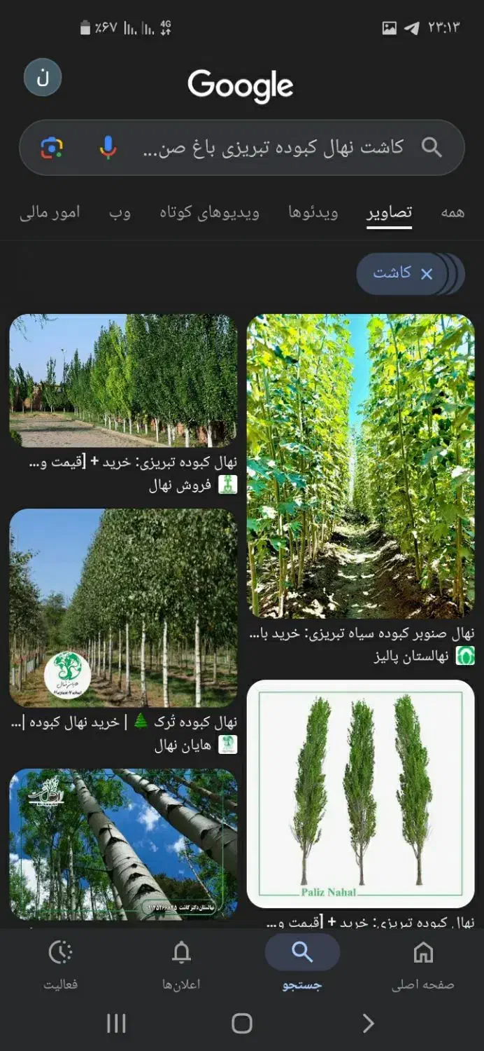 خریداری|خدمات باغبانی و درختکاری|صومعهسرا, |دیوار