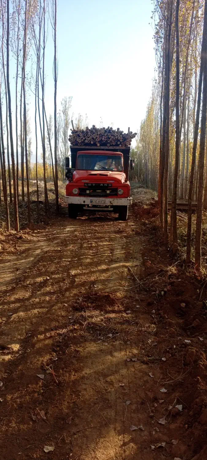 زمین کشاورزی واقع در نوروزآباد|فروش دفتر صنعتی، کشاورزی، تجاری|شاهین دژ, |دیوار