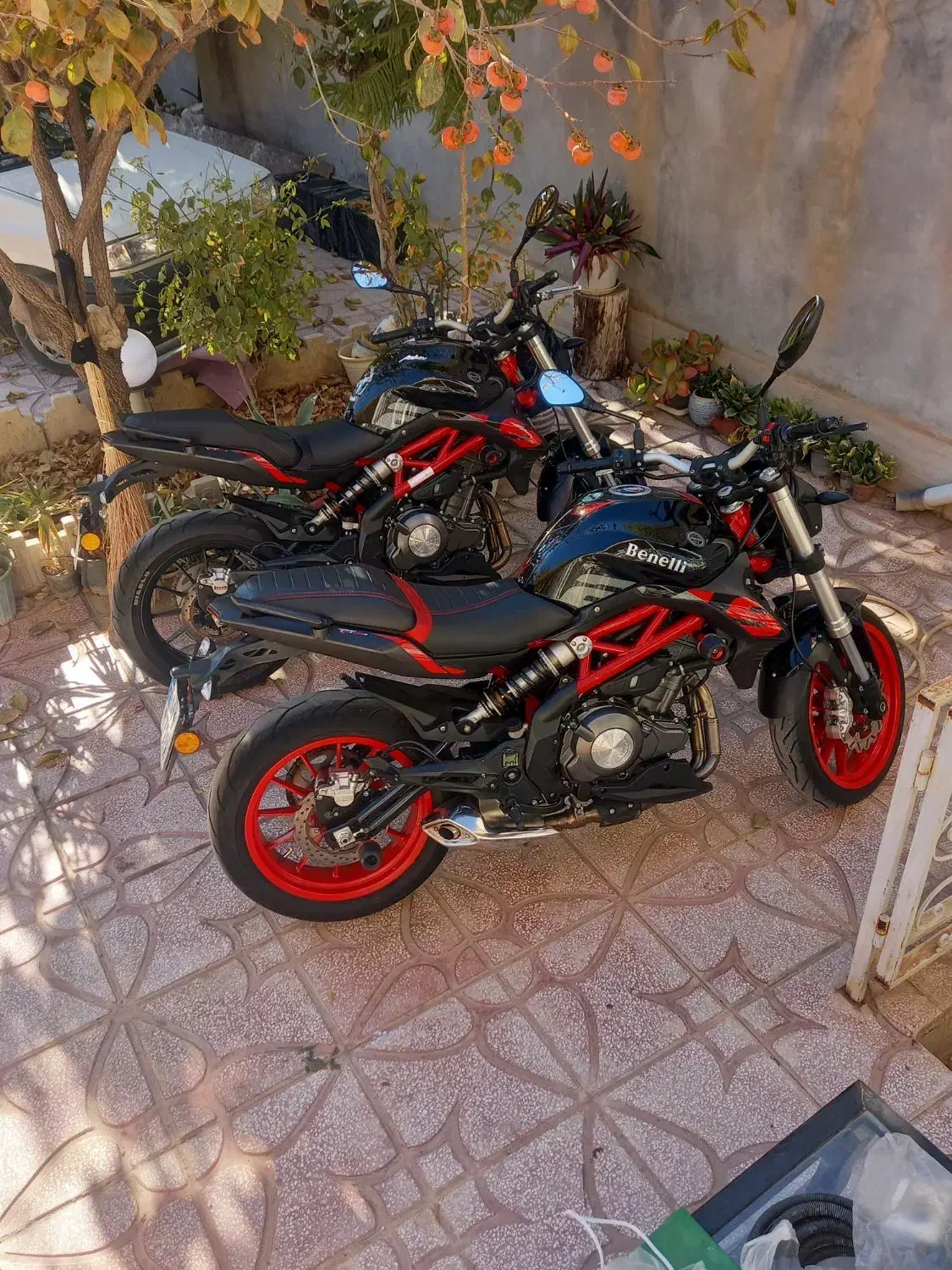 بنلی جفت مدل ۱۴۰۰ و ۱۴۰۱|موتورسیکلت|اسفراین, |دیوار