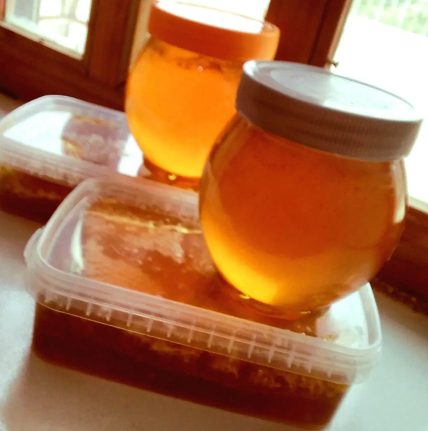 عسل کیلویی و حلبی|عمده‌فروشی|بدره, |دیوار