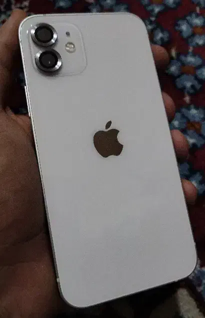 آیفون 12 نرمال|موبایل|زنجان, |دیوار