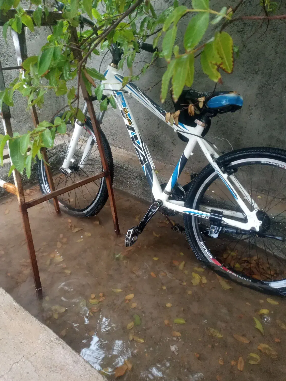 دوچرخه|دوچرخه، اسکیت، اسکوتر|کهنوج, |دیوار