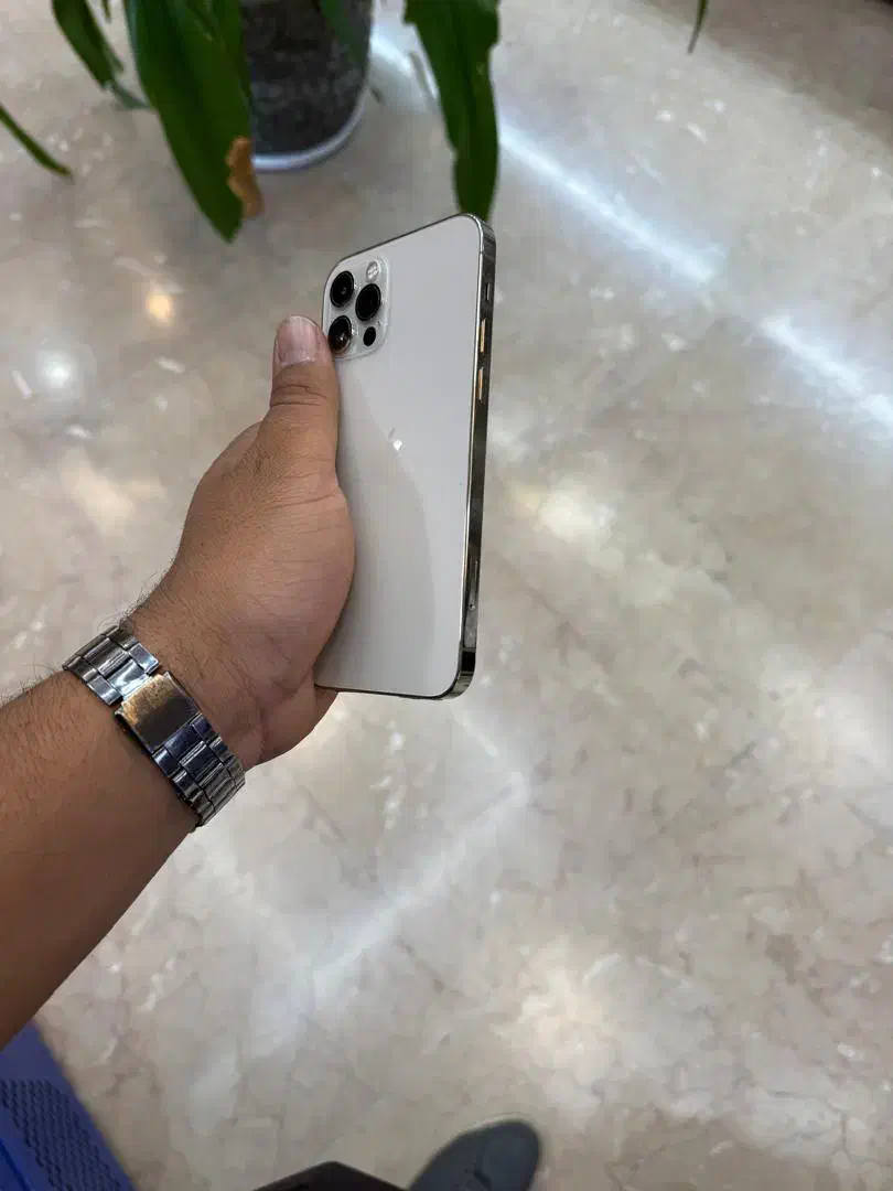 iphone 12pro 256gig|موبایل|کرمان, |دیوار