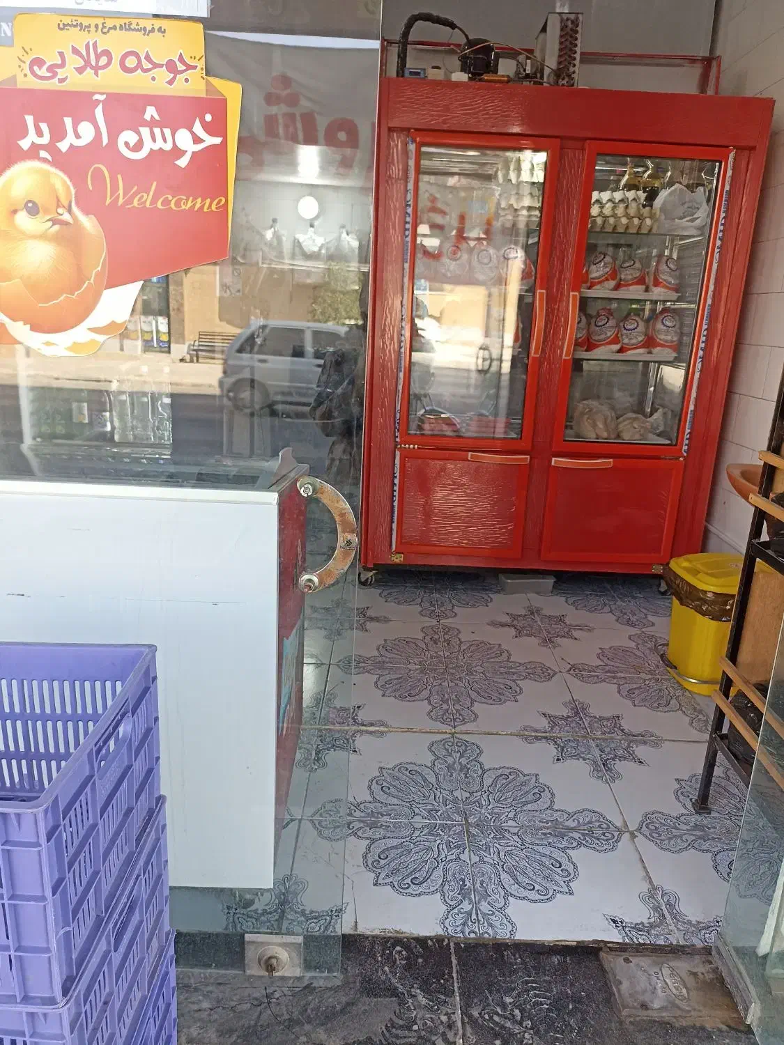 مرغ و پروتئین و ارگانیک سراجوجه طلایی|حراج|برازجان, |دیوار