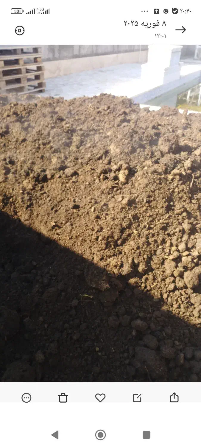 کود گاوی وگوسفندی|خدمات باغبانی و درختکاری|نظرآباد, نجم آباد|دیوار