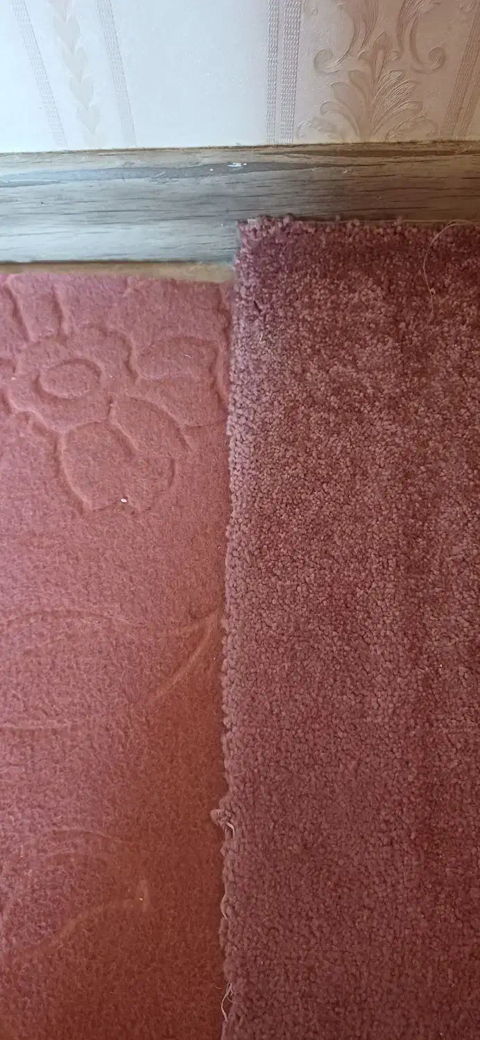 موکت|موکت|تبریز, |دیوار