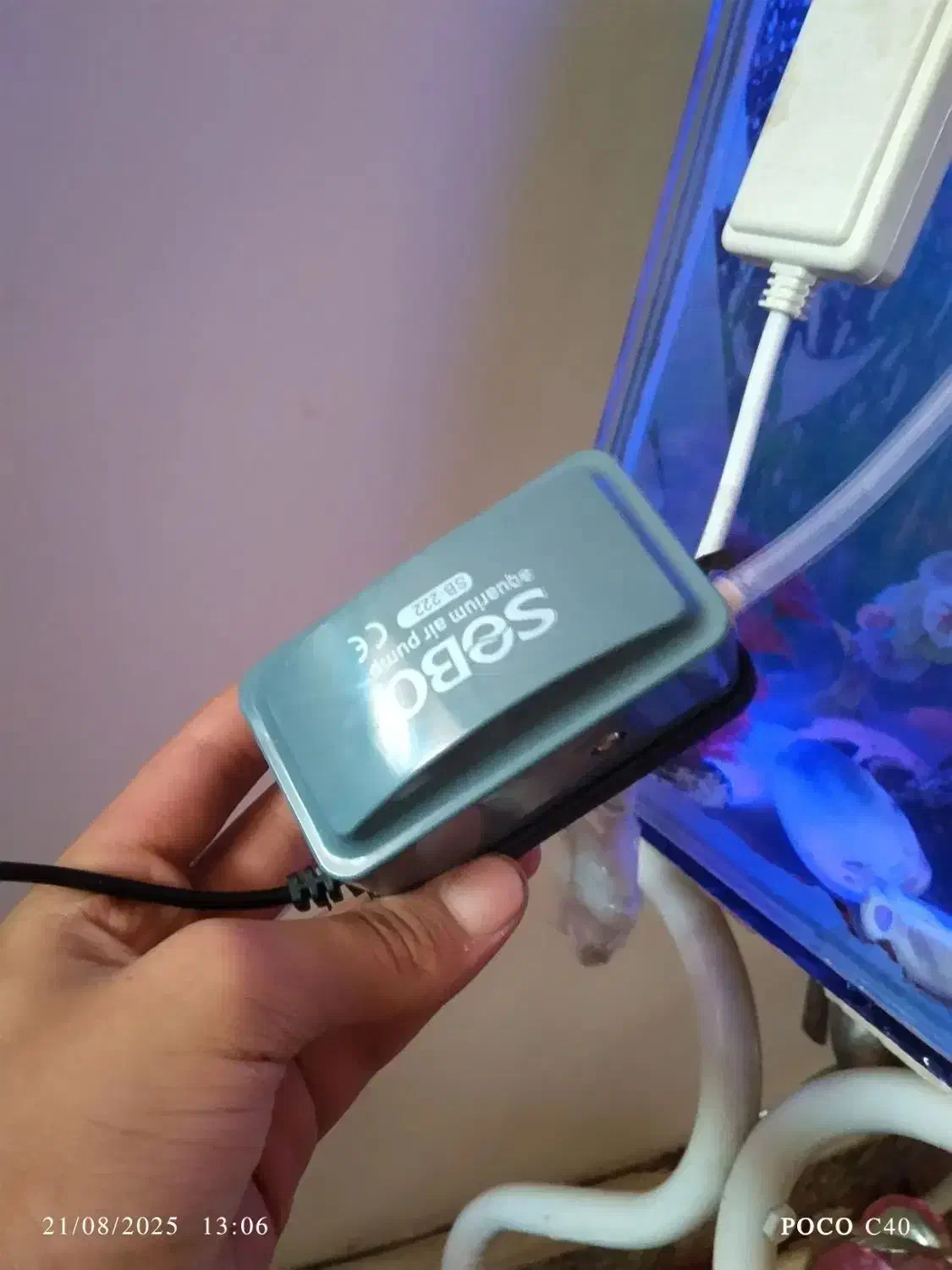 پمپ اکسیژن آکواریوم معاوظه|ماهی|مشگین شهر, |دیوار