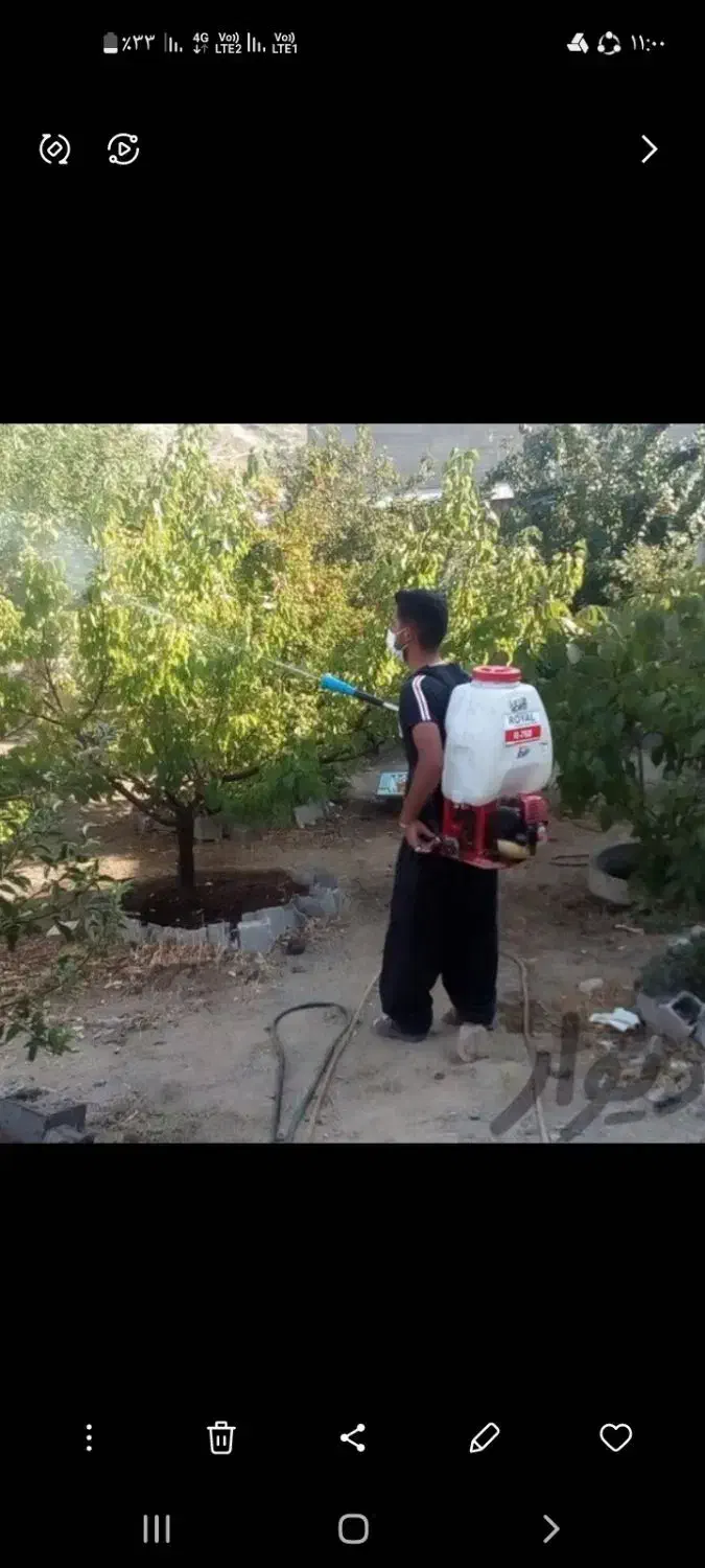 کلیه خدمات باغبانی سمپاشی تعویض گلدان سمپاشی سوسک|خدمات باغبانی و درختکاری|تهران, الهیه|دیوار