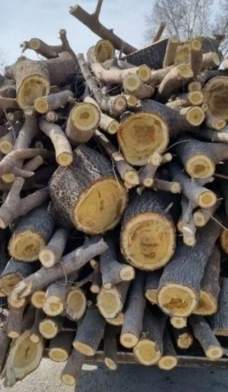 خرید چوب|خدمات باغبانی و درختکاری|نهاوند, |دیوار