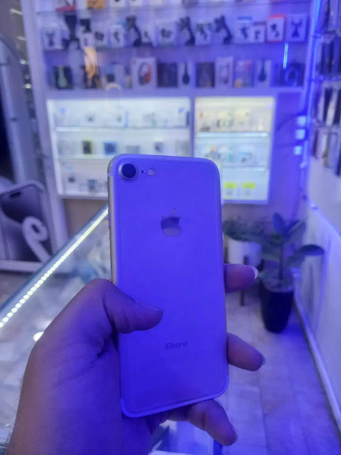 iPhone 7|موبایل|مشهد, حجاب (شهرک غرب)|دیوار