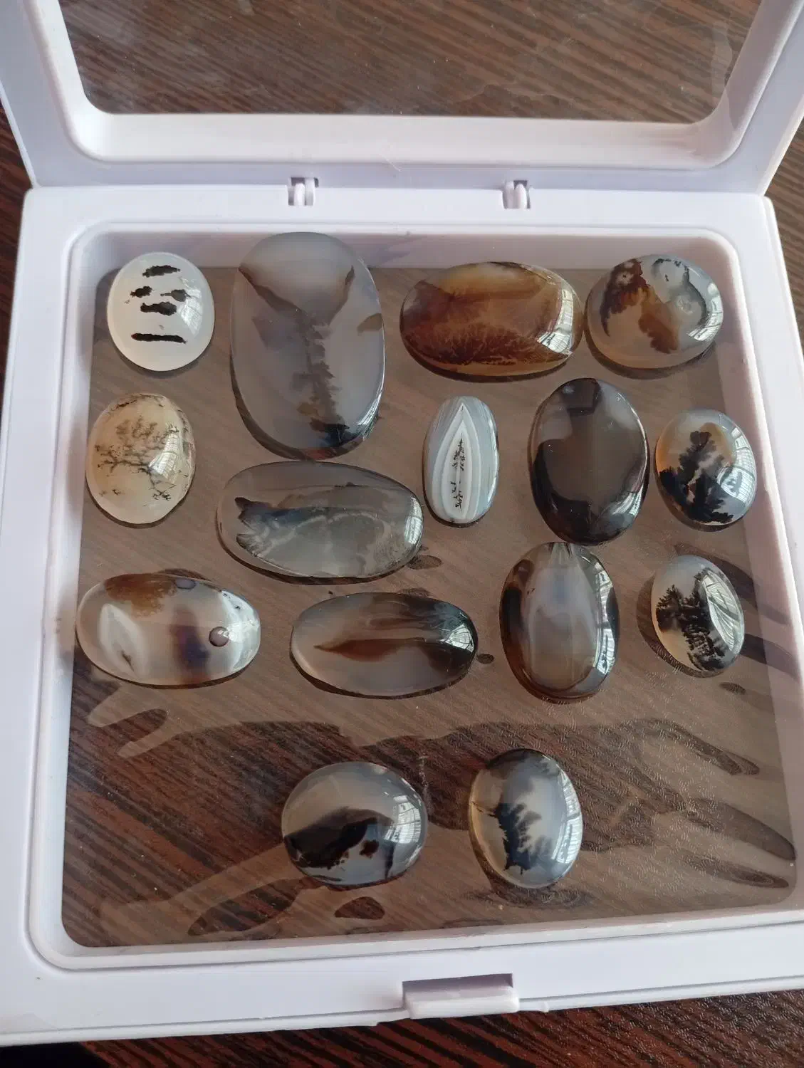 انگشتر و نگین شجر قاین درختی|جواهرات|مشهد, طلاب|دیوار