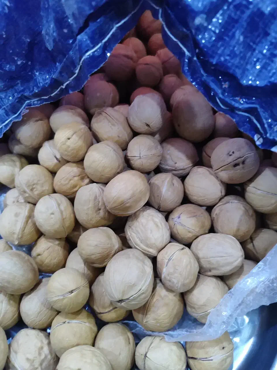گردو کاغذی سفید آمریکایی  چای عراقی عطر دار لویس|خوردنی و آشامیدنی|اهواز, شهرک رزمندگان|دیوار