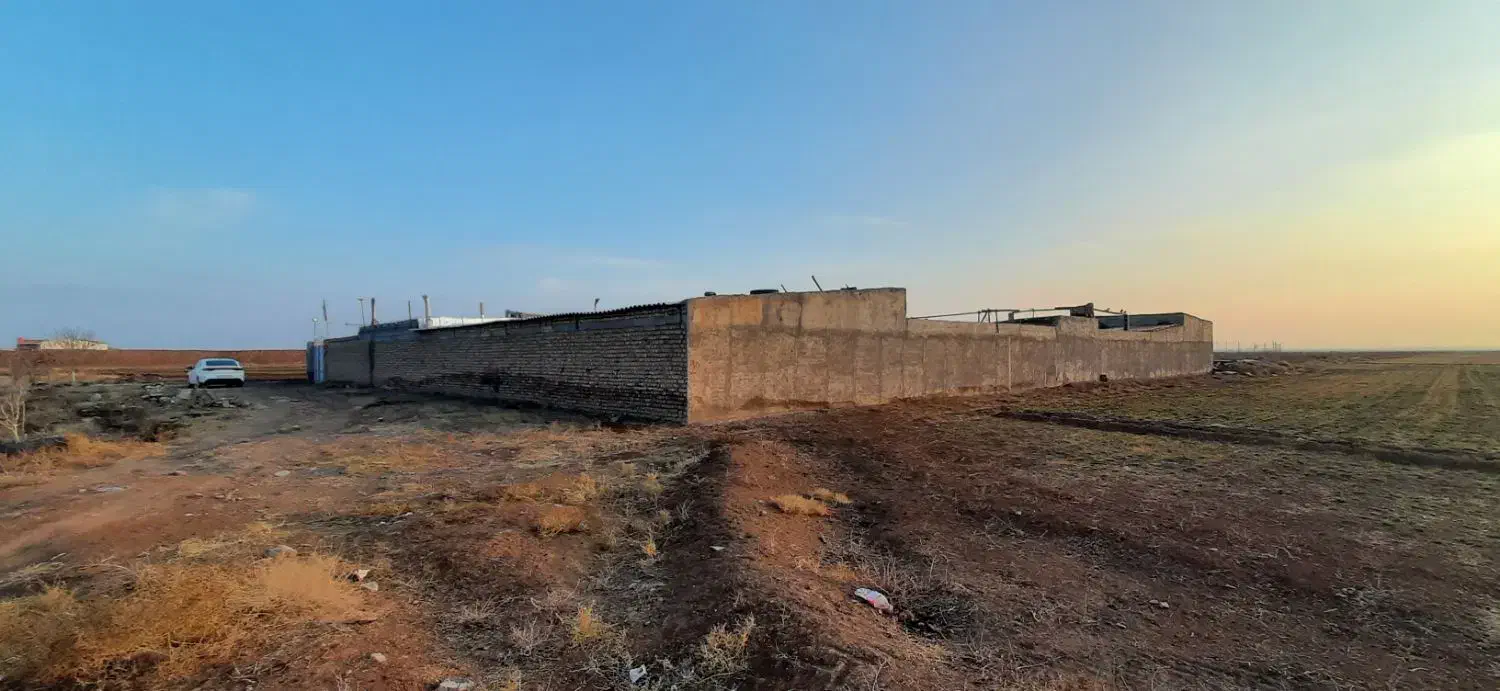 دامداری و باغ پسته|فروش دفتر صنعتی، کشاورزی، تجاری|نیشابور, ریوند|دیوار