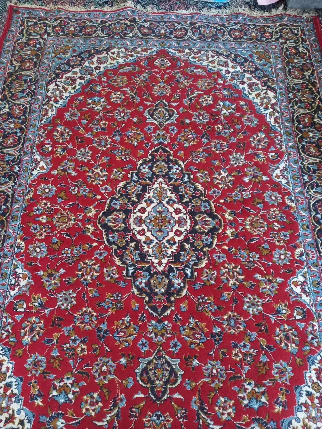 فرش ۶متری|فرش|رشت, هلال احمر|دیوار