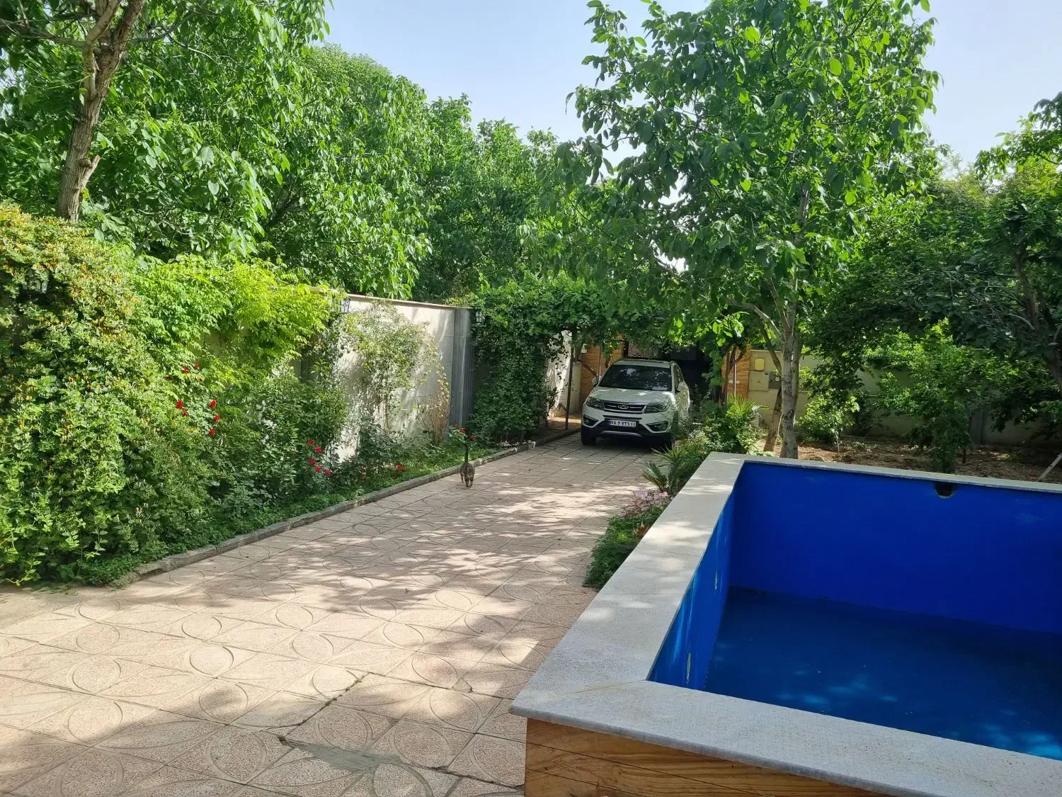 ۵۵۵ متر باغچه شهرک حمیدیه تهاتر|فروش خانه و ویلا|هشتگرد, حمیدیه|دیوار