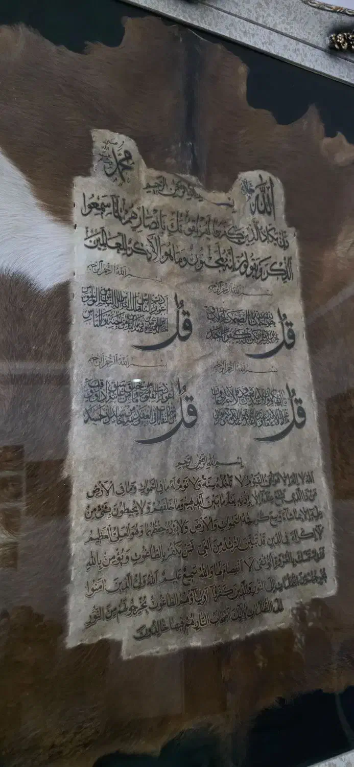 تابلو پوست زیر قیمت|تابلو، نقاشی، عکس|فردوسیه, |دیوار