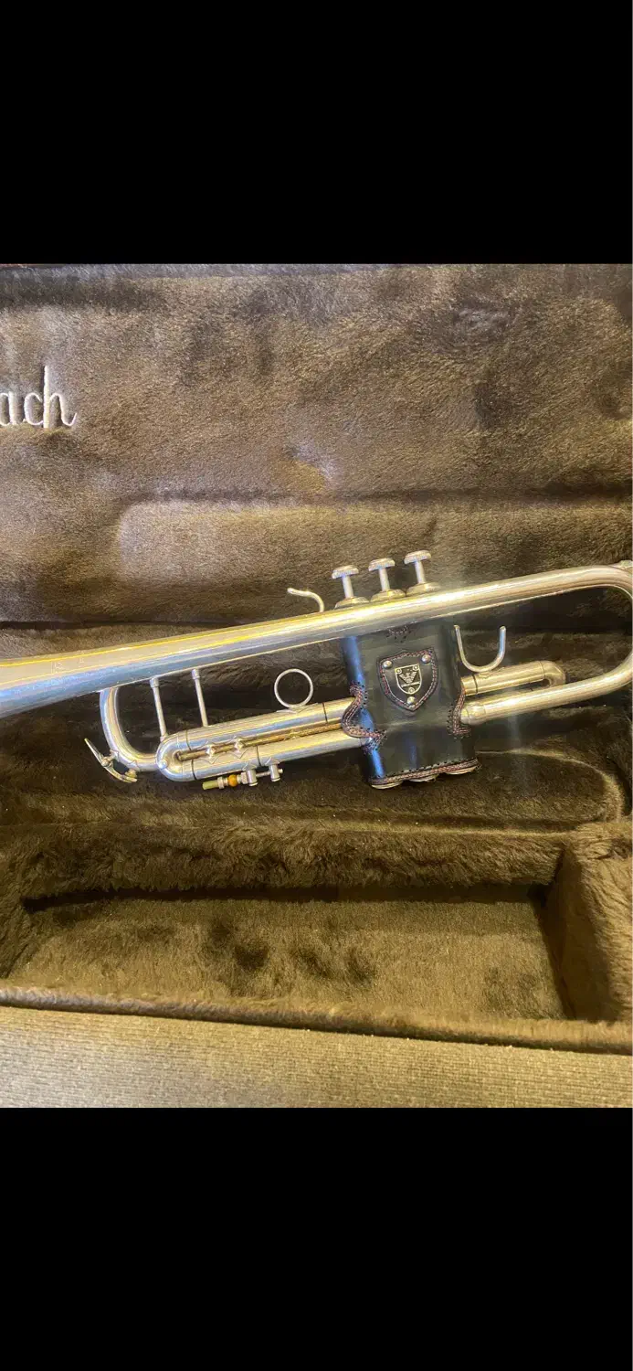 ترومپت|سازهای بادی|تهران, آهنگ|دیوار