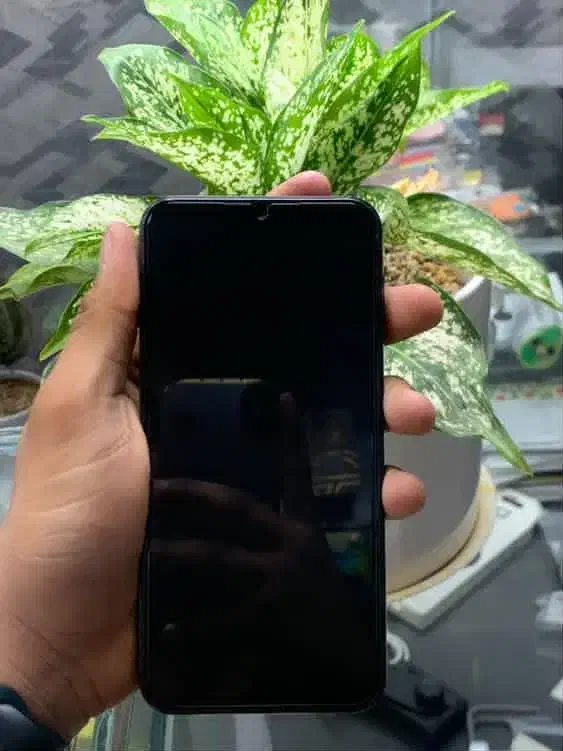 گوشی موبایل a24|موبایل|جیرفت, |دیوار