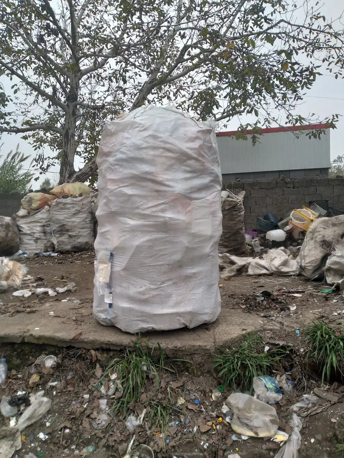 گونی و جامبو|عمدهفروشی|رشت, بیجارپس|دیوار