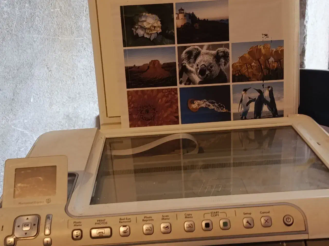 پرینتر hp نو|پرینتر، اسکنر، کپی، فکس|تبریز, |دیوار