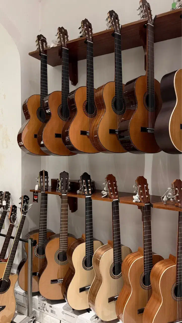 گیتار حرفه ای انتونیوسزار  ۷ جلسه کلاس رایگان|گیتار، بیس، امپلیفایر|مشهد, آزادشهر|دیوار