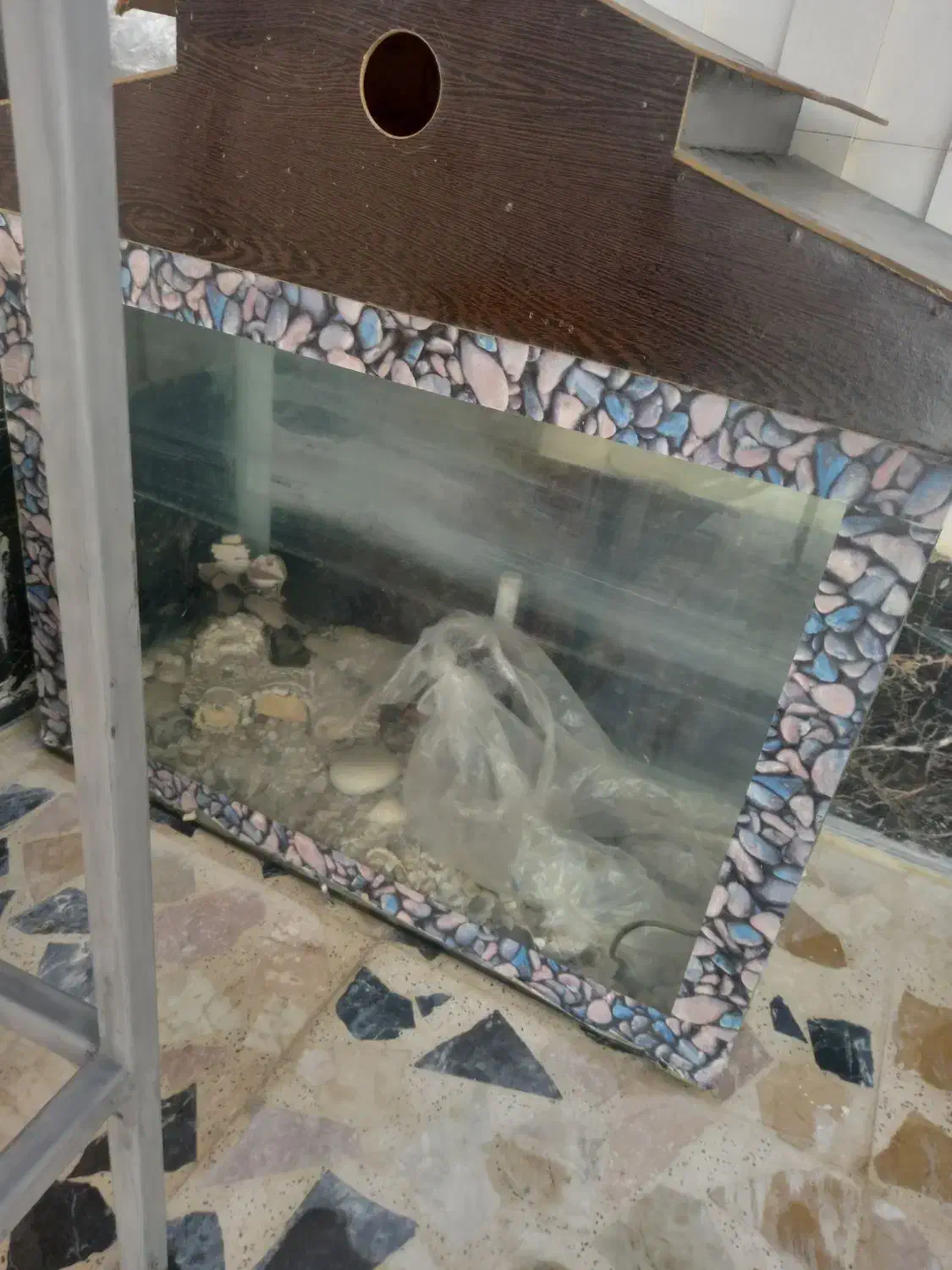 آکواریوم|ماهی|شاهین‌شهر, گرگاب|دیوار