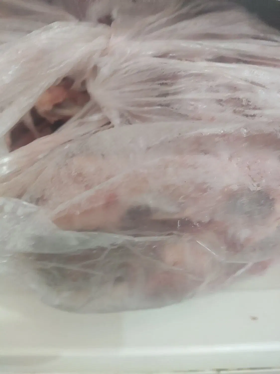 کتف و بال منجمد|خوردنی و آشامیدنی|شهرکرد, |دیوار