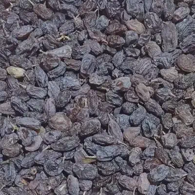 کشمش و شیره انگور|خوردنی و آشامیدنی|شیراز, باجگاه|دیوار