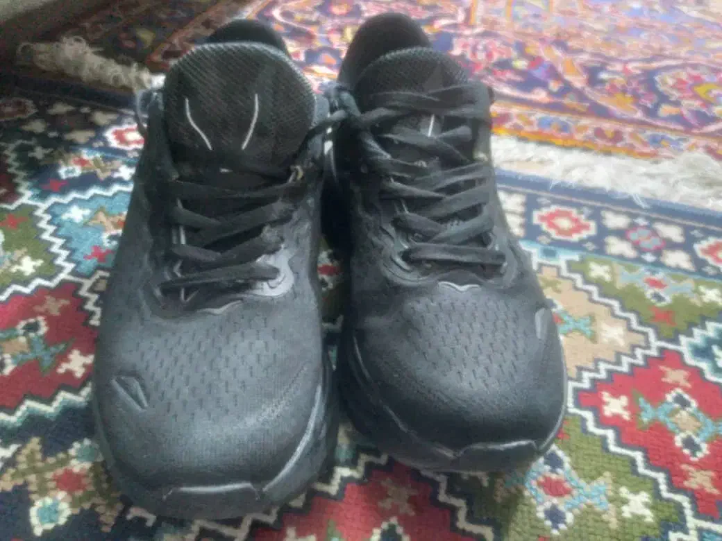 کفش|کیف، کفش، کمربند|فسا, |دیوار