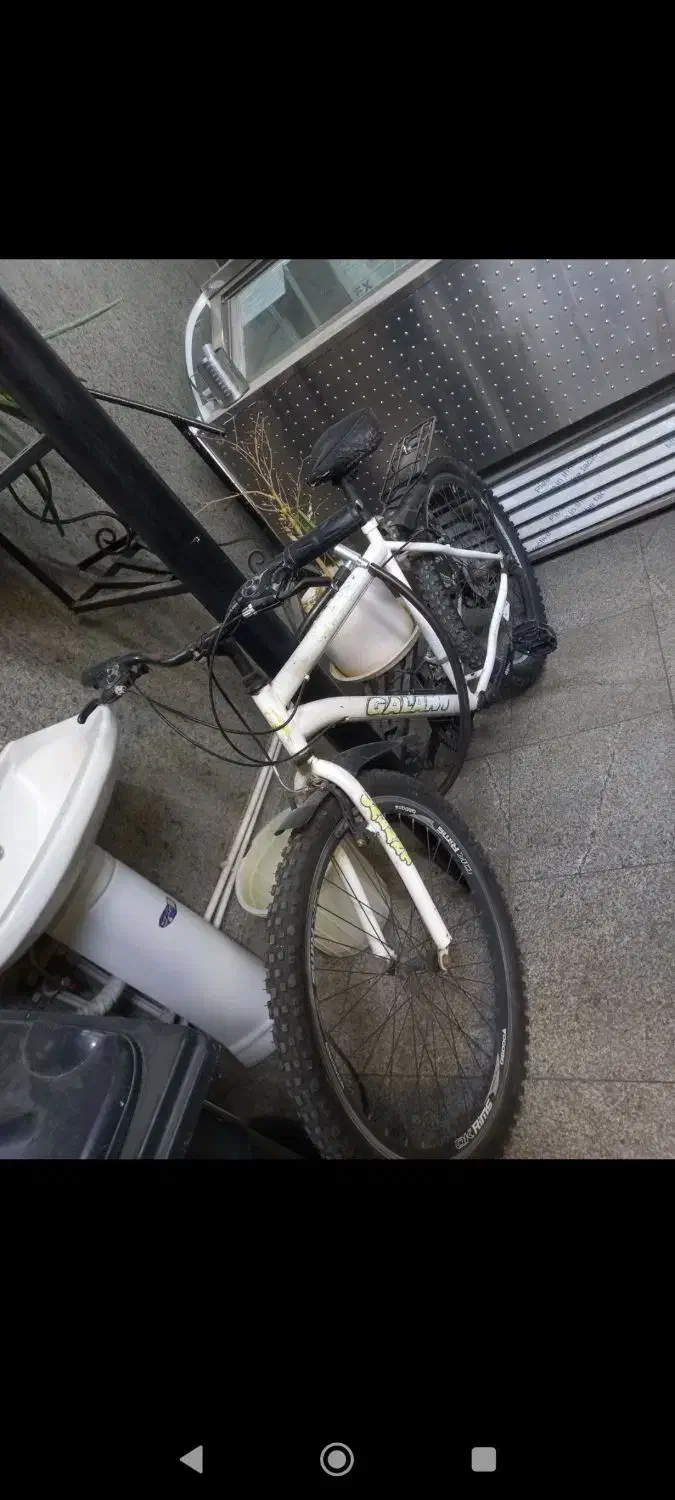 دوچرخه گالانت 26|دوچرخه، اسکیت، اسکوتر|محمدشهر, محمدشهر|دیوار