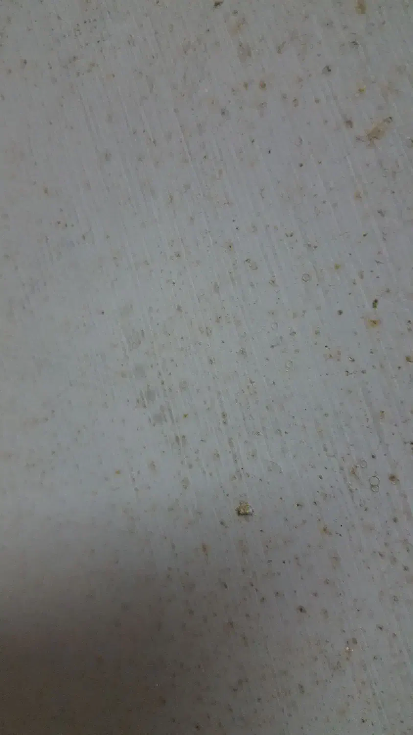 استخدام نیرو|خدمات نظافت|بندر انزلی, پردیس|دیوار