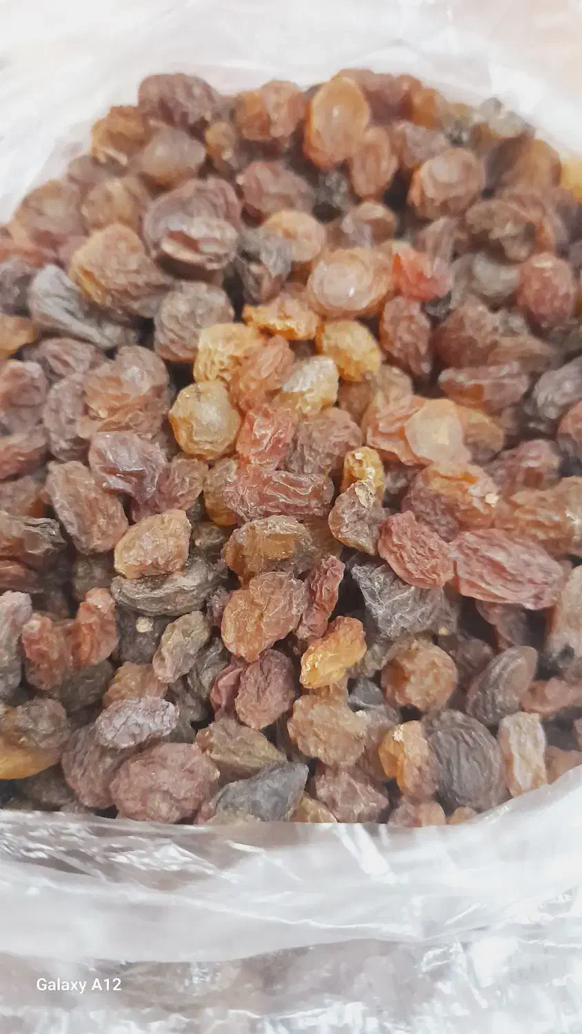 کشمش|خوردنی و آشامیدنی|قزوین, |دیوار