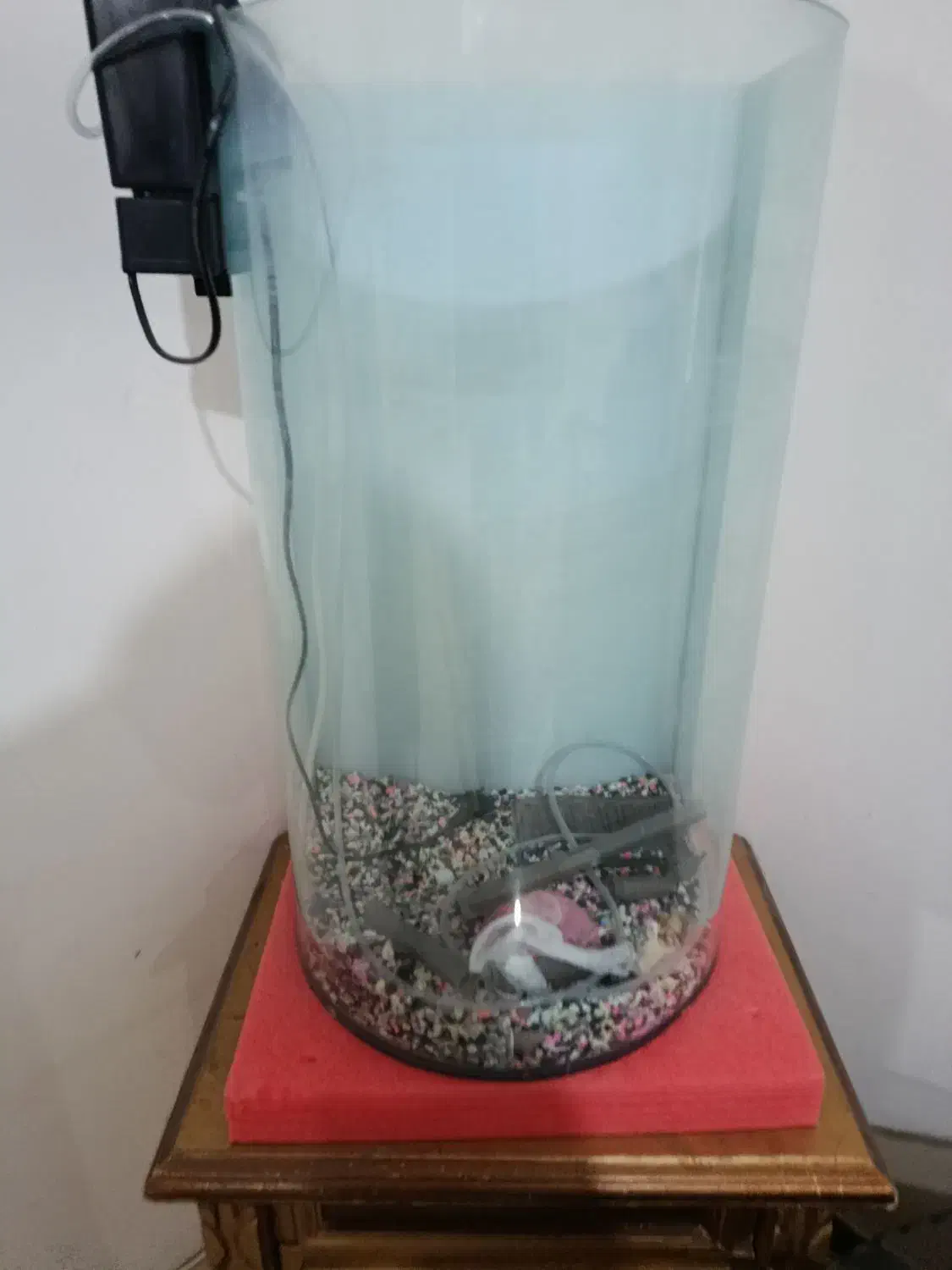 آکواریوم منحنی نیم دایره بزرگ|ماهی|پرند, فاز ۶|دیوار