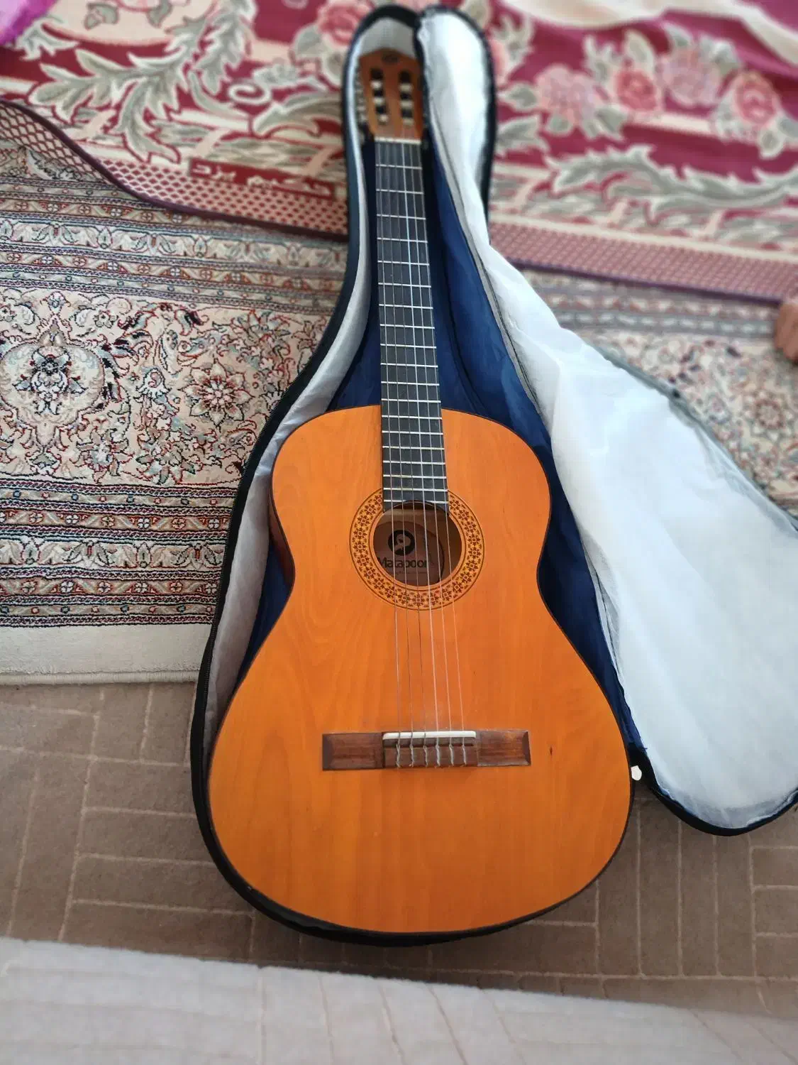 گیتار نو برای آموزش|گیتار، بیس، امپلیفایر|مشگین شهر, |دیوار