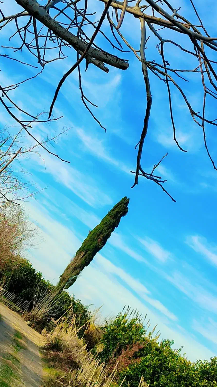 کارگر برای پرتقال چینی|استخدام معماری، عمران و ساختمانی|زاهدان, |دیوار