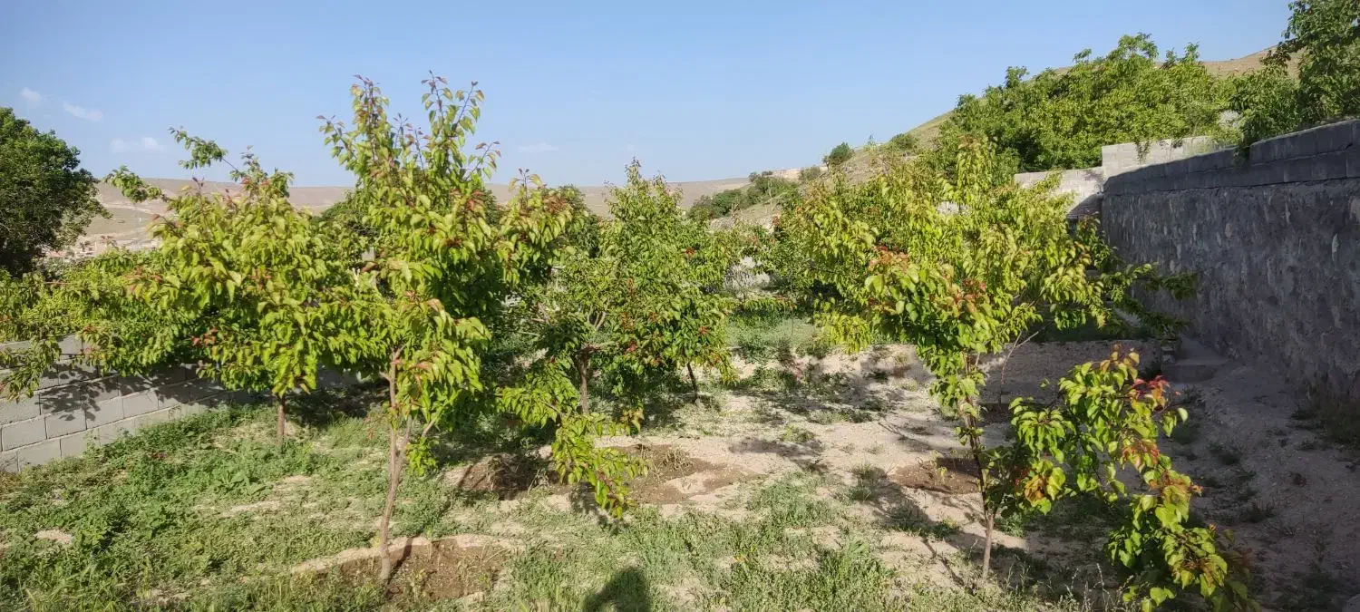 باغ ۷۳۰ متر در اسکو اسفنجان|فروش خانه و ویلا|اسکو, |دیوار