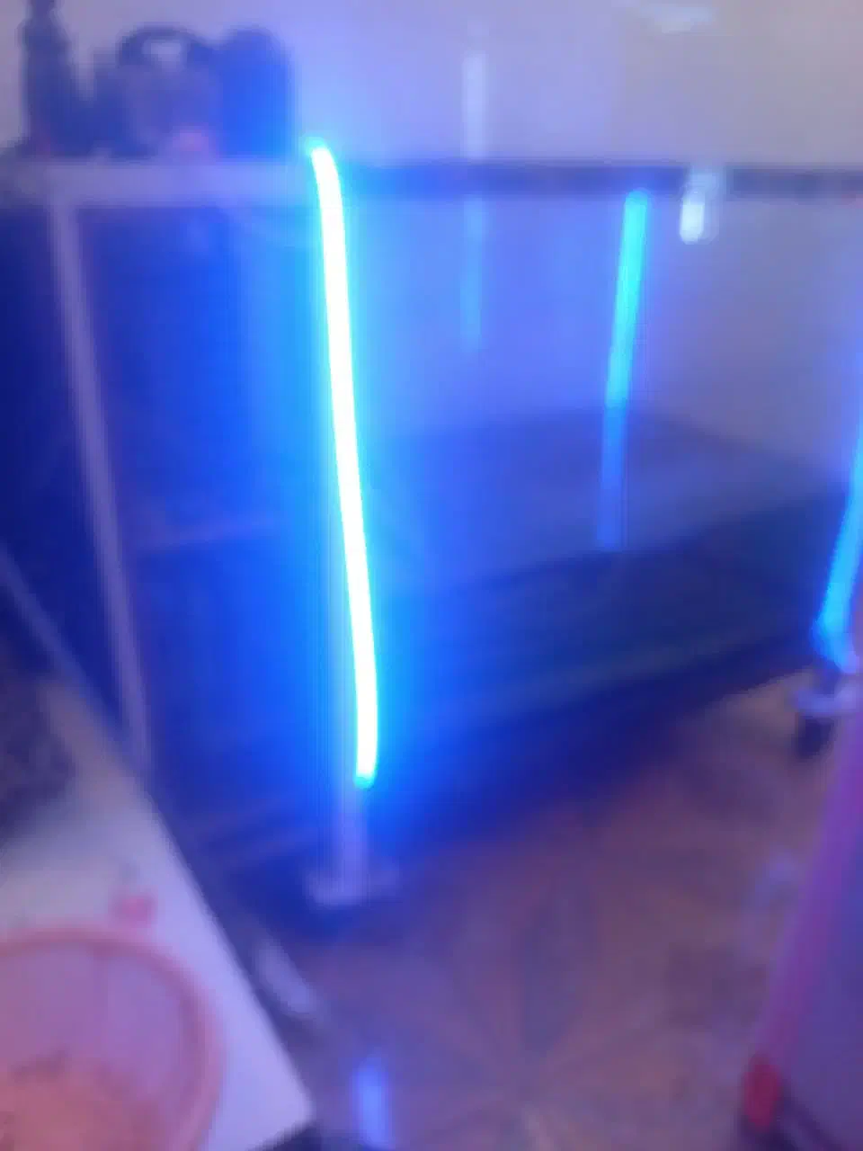 آکواریم ماهی غزل|ماهی|تیران, |دیوار