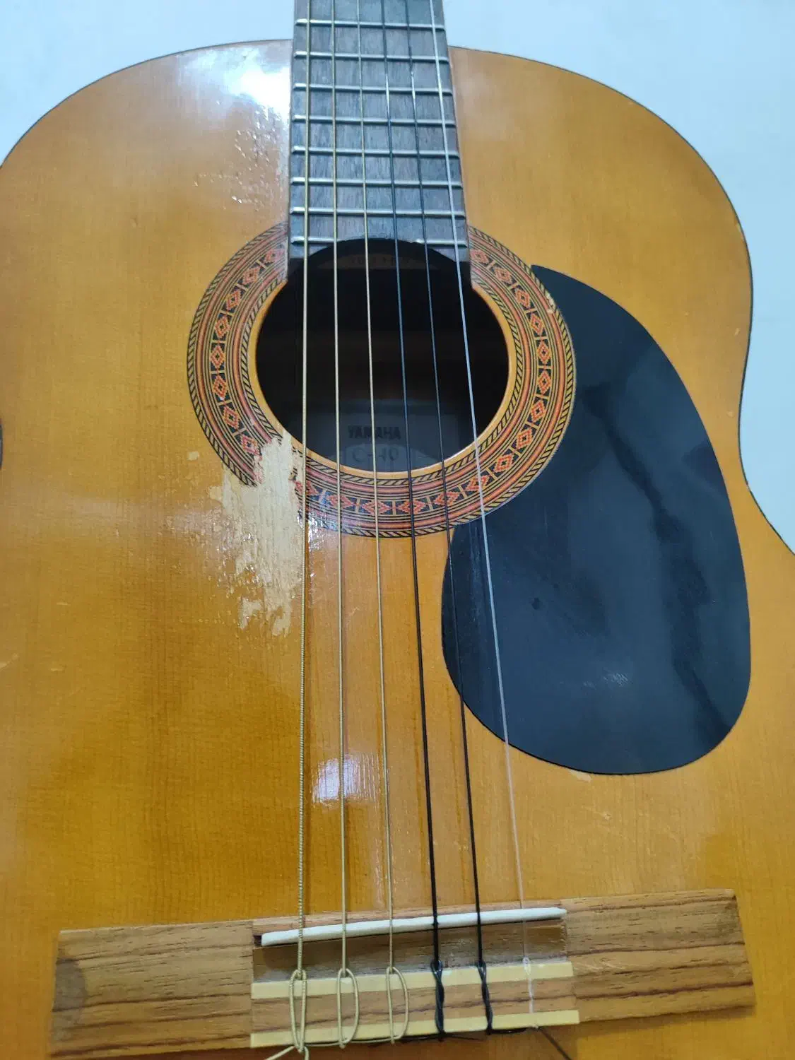 گیتار c40 اصلی با خرک استخان|گیتار، بیس، امپلیفایر|کرمانشاه, |دیوار