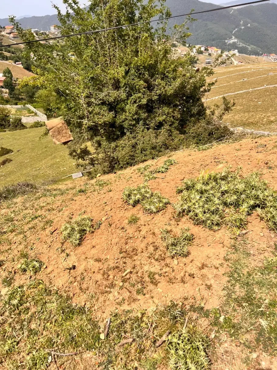 زمین روستای رجه|فروش زمین و ملک کلنگی|پل سفید, |دیوار