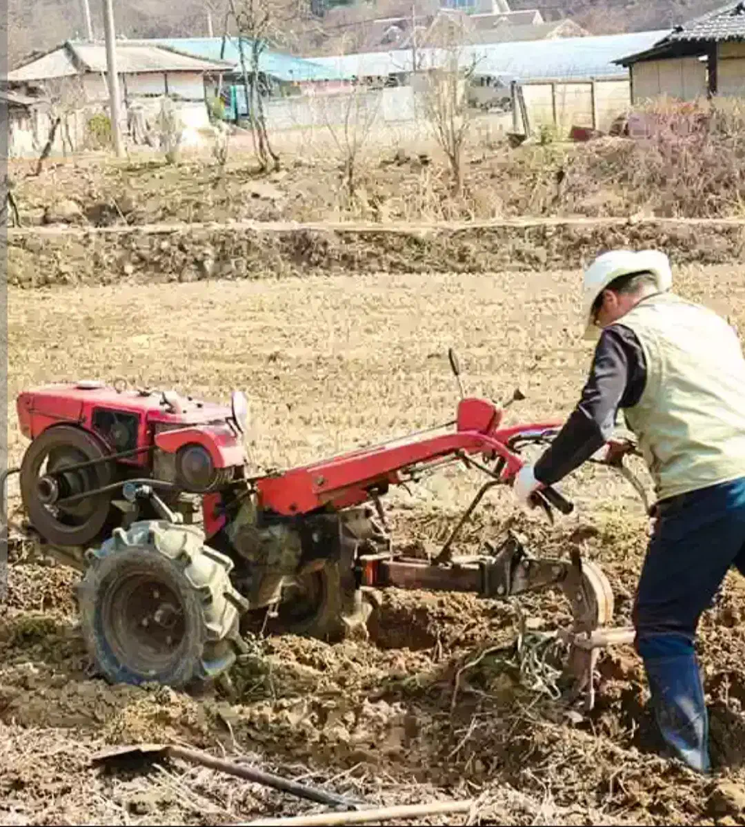 کاربا تیلر وشخم زدن|خدمات باغبانی و درختکاری|الشتر, |دیوار