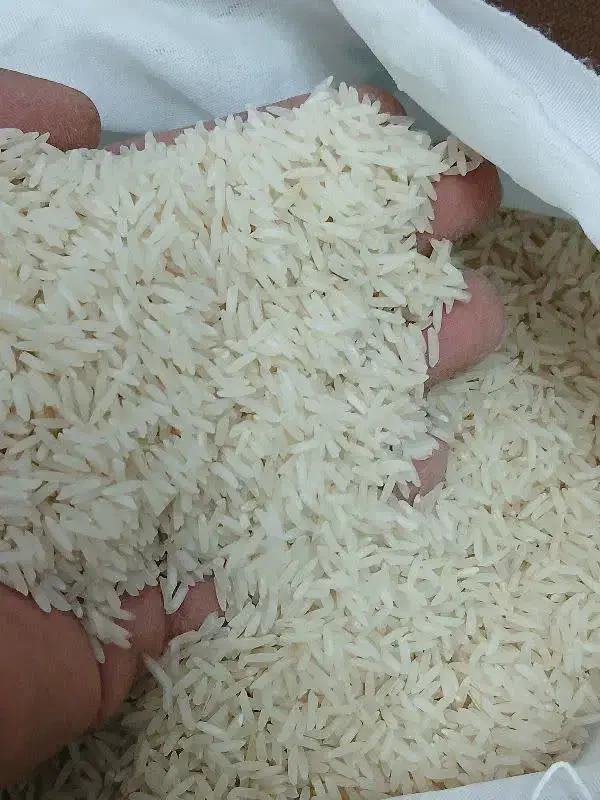 برنج هاشمی معطر به قیمت تعاونی|خوردنی و آشامیدنی|قم, شهرک فاطمیه|دیوار