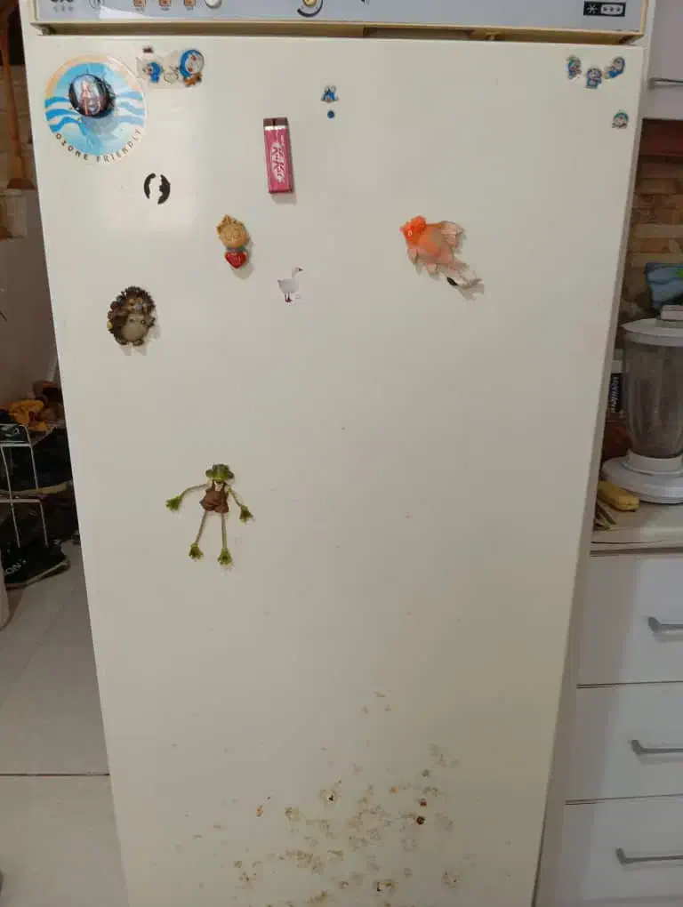 فروش یه دستگاه یخچال فریزر ۷ کیشو|یخچال و فریزر|رشت, لاکان|دیوار