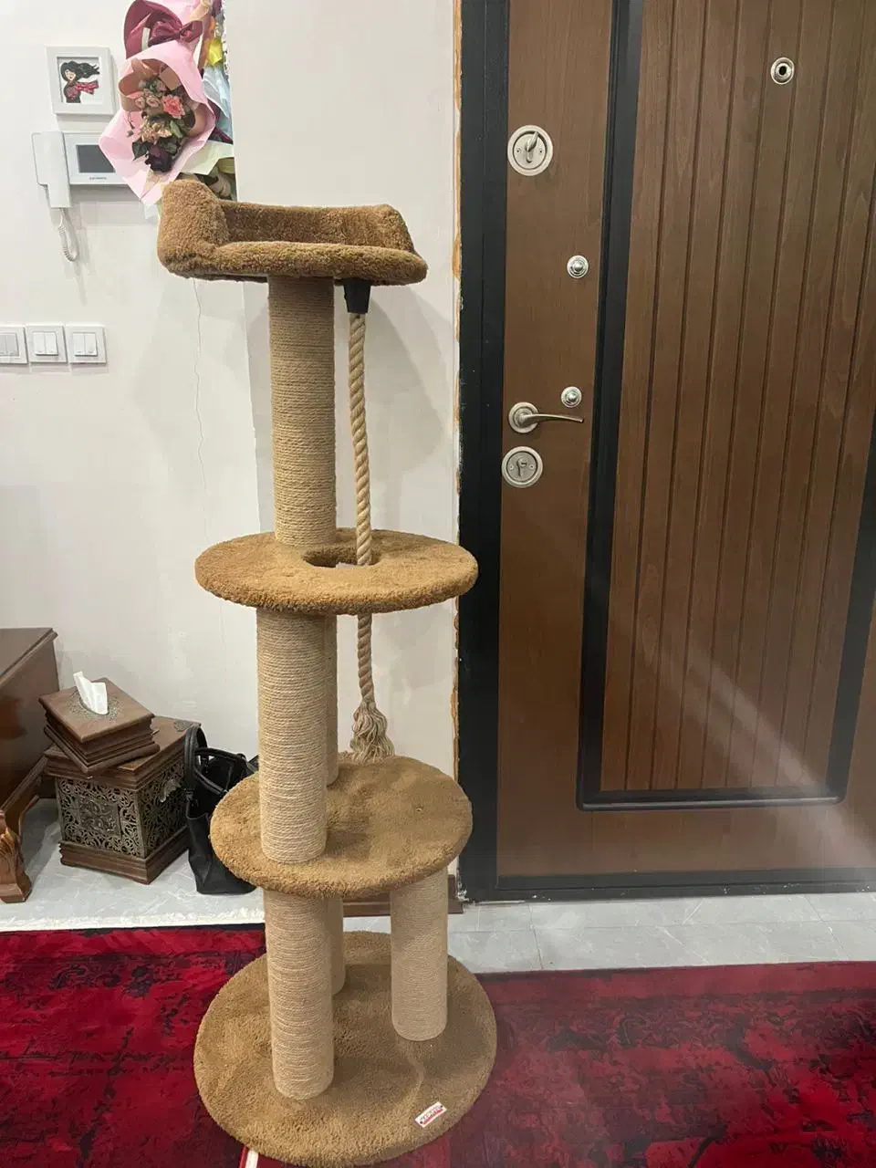 وسیله بازی گربه|گربه|ری, صفاییه (چشمه علی)|دیوار