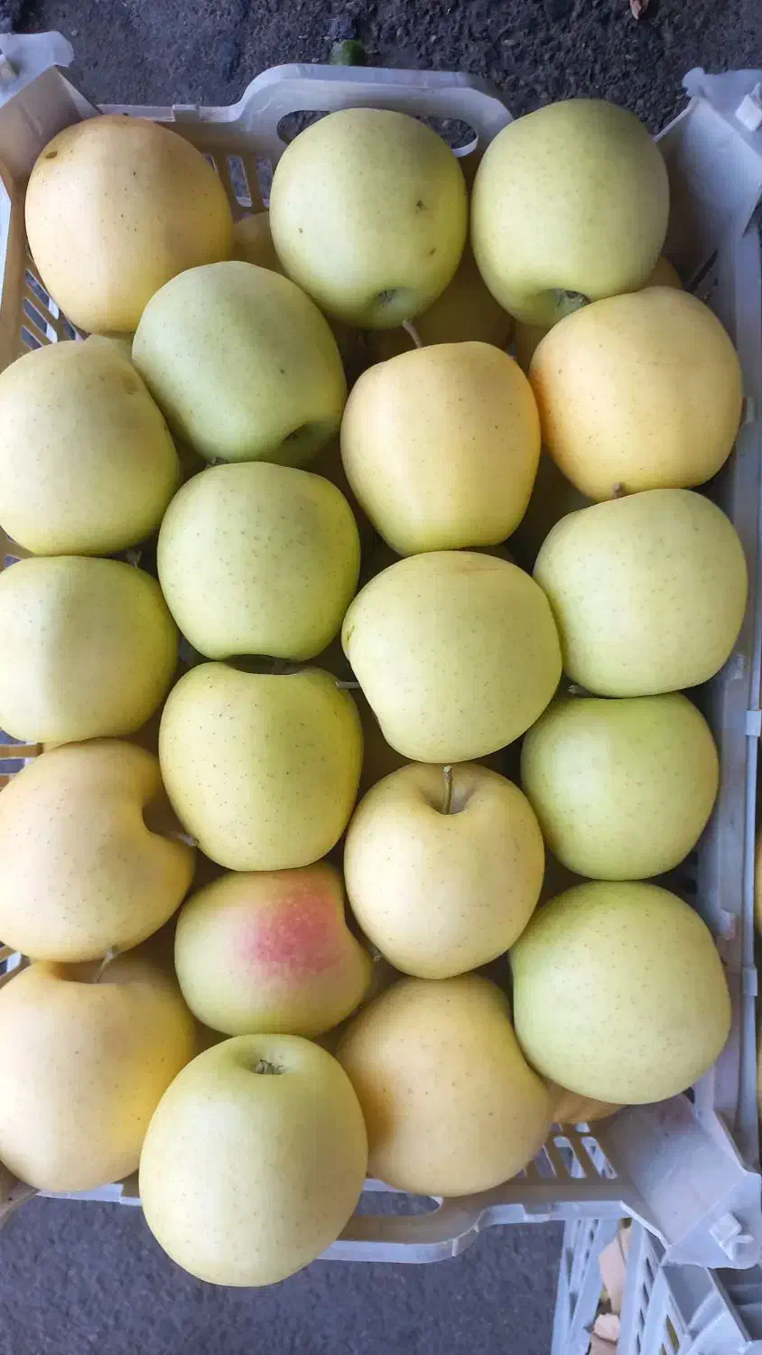 سرمایه‌گذاری با ۲۵درصد سود ظرف ۳ ماه|خدمات مالی، حسابداری، بیمه|مشهد, کوثر|دیوار