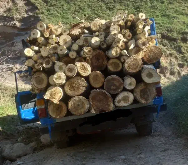 خرید چوب|خدمات پیشه و مهارت|مراغه, |دیوار